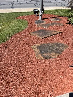 Elite Property Services