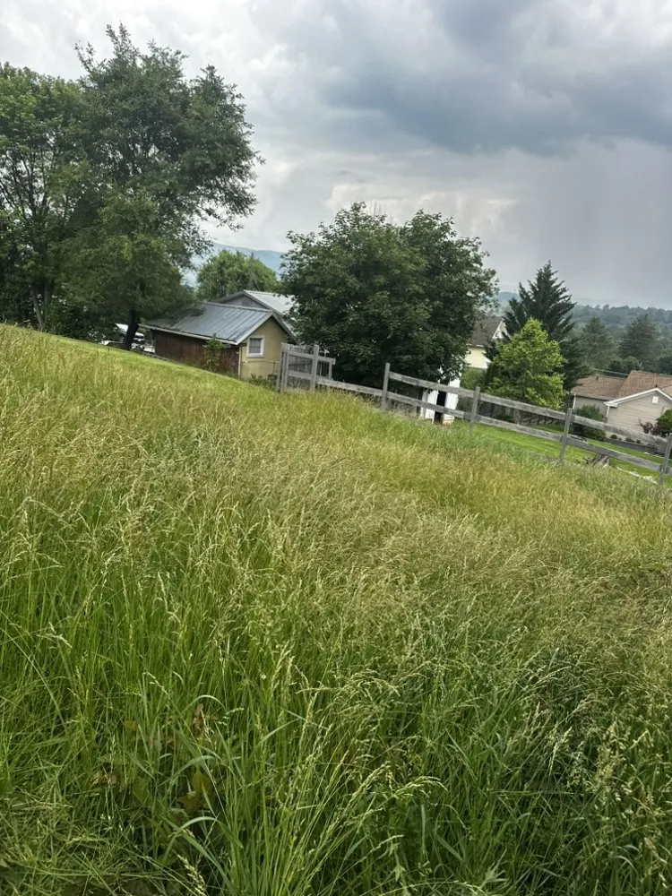 Local garden landscaping for outdoor upgrades across Ballard, WV - Elite Property Solutions