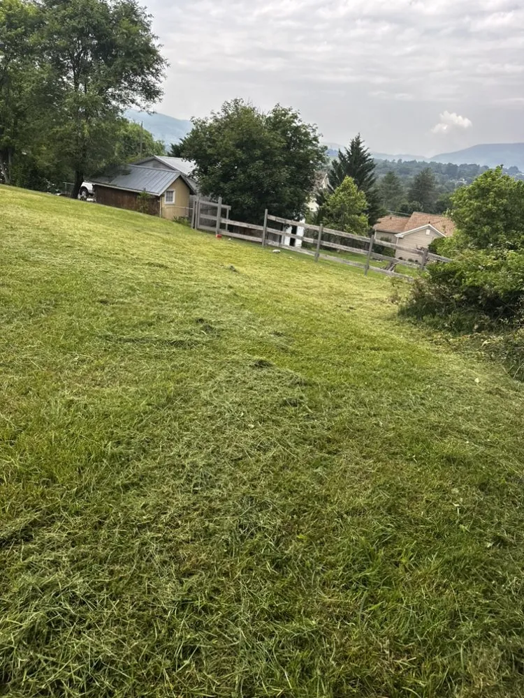 Expert landscape installation in Ballard, WV by Elite Property Solutions