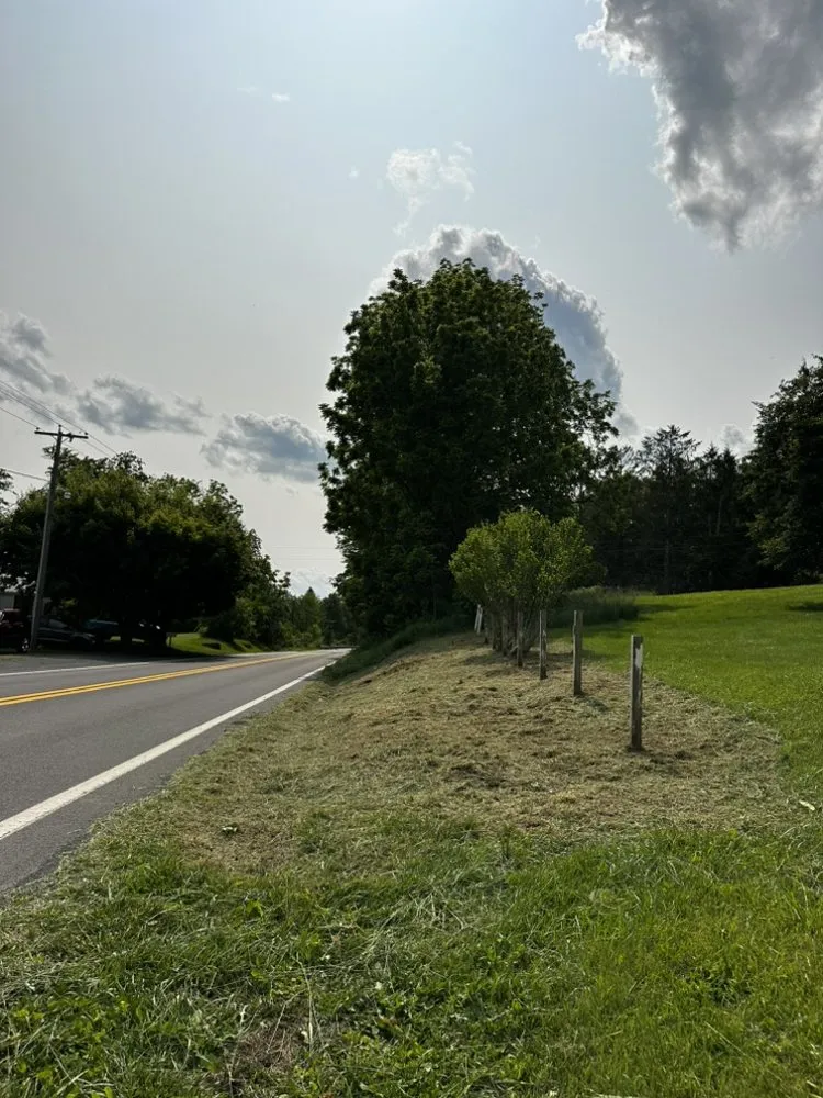Top-rated lawn mowing service experts serving Ballard, WV - Elite Property Solutions