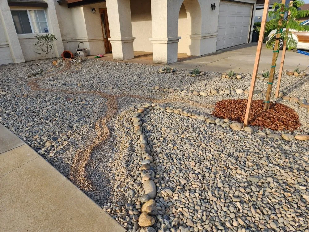 Top-rated yard cleanup service in Princeton, TX - Elite Pros