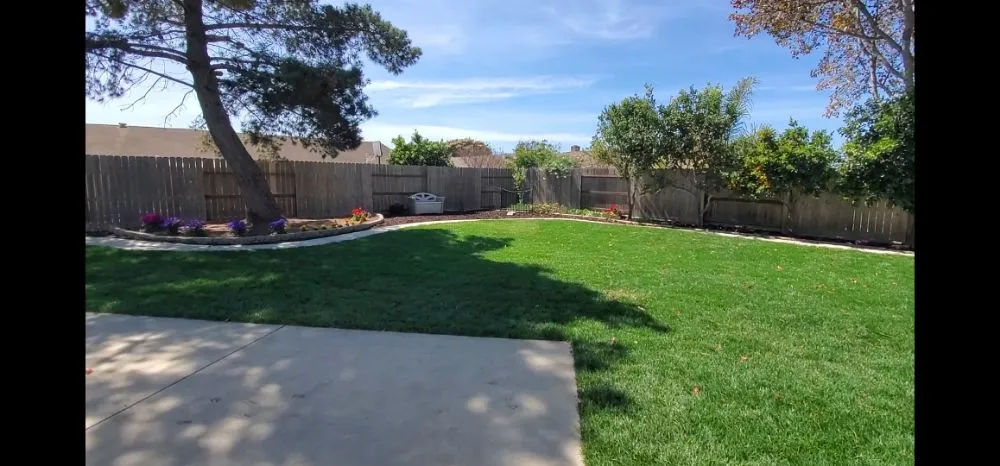 Top-rated yard cleanup service in Princeton, TX by Elite Pros