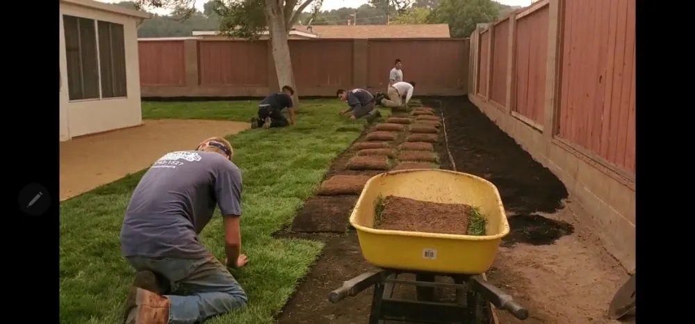 Custom landscape design near you across Princeton, TX - Elite Pros