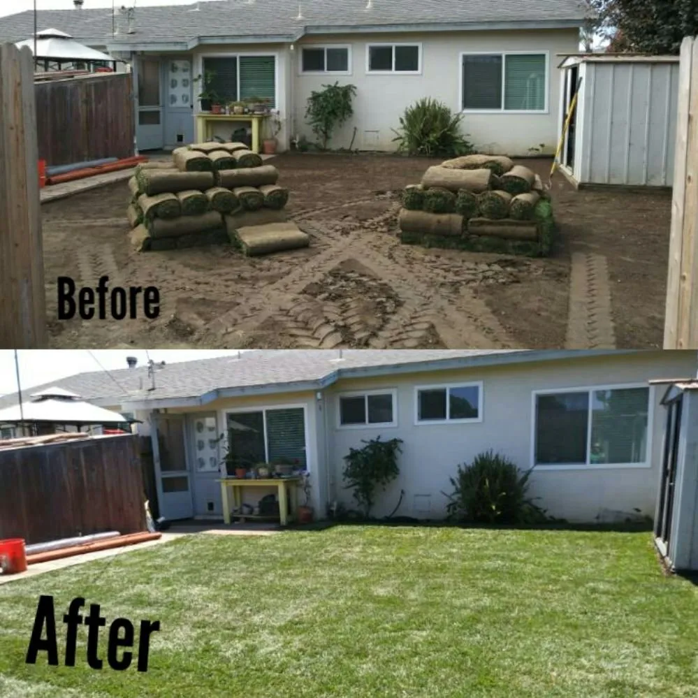 Reliable yard maintenance near you in Princeton, TX by Elite Pros