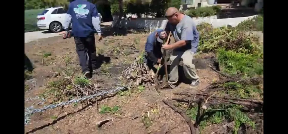 Expert lawn care service experts serving Princeton, TX - Elite Pros