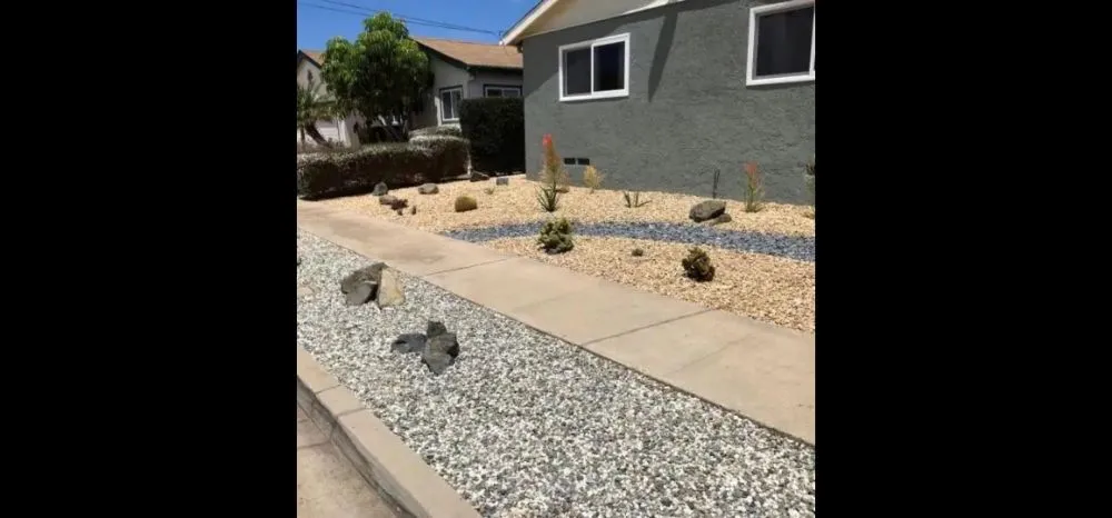 Professional yard maintenance experts serving Princeton, TX - Elite Pros