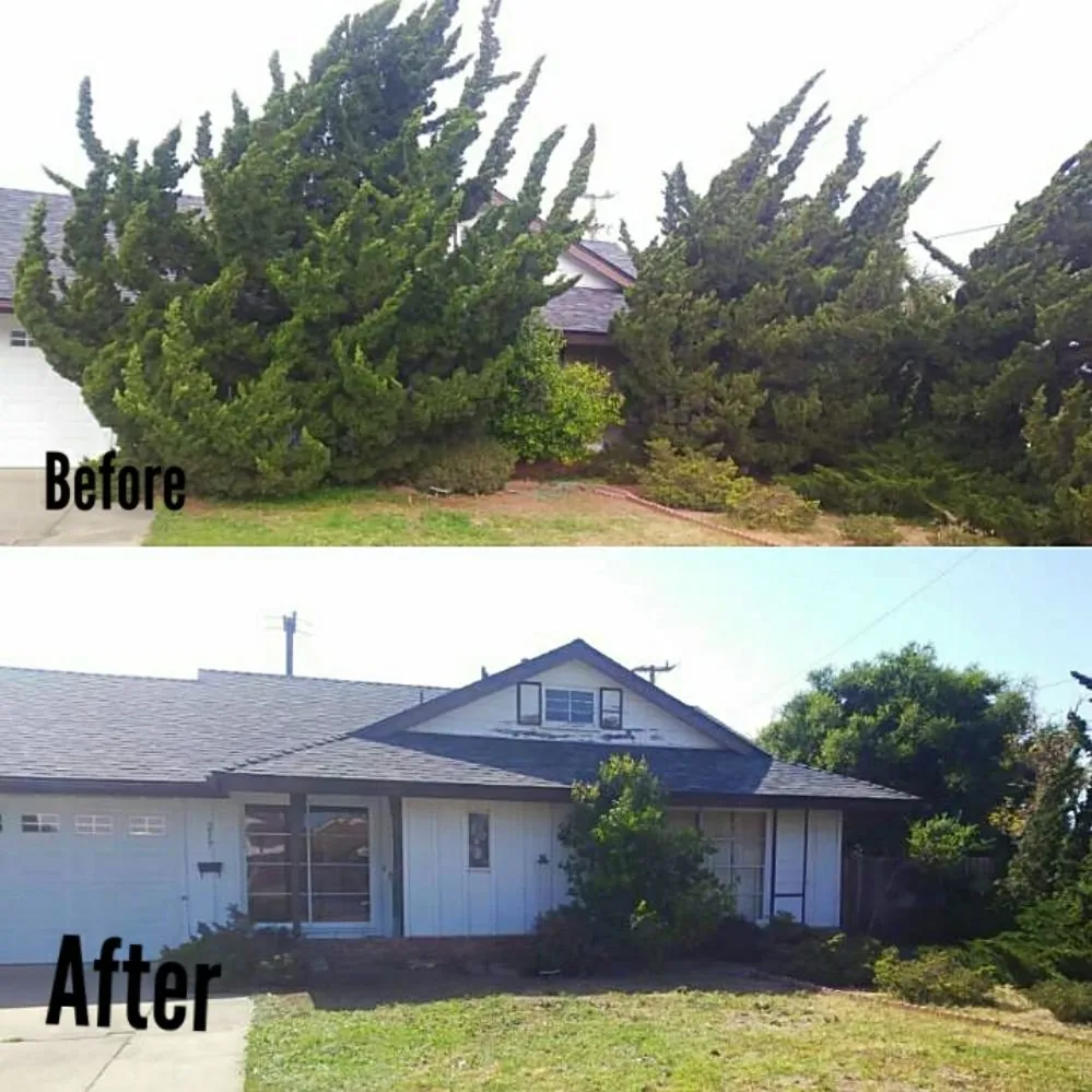 Custom garden landscaping for outdoor upgrades in Princeton, TX by Elite Pros