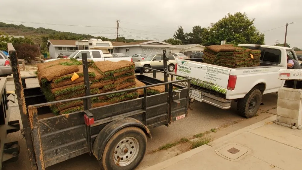 Custom yard maintenance experts serving Princeton, TX - Elite Pros