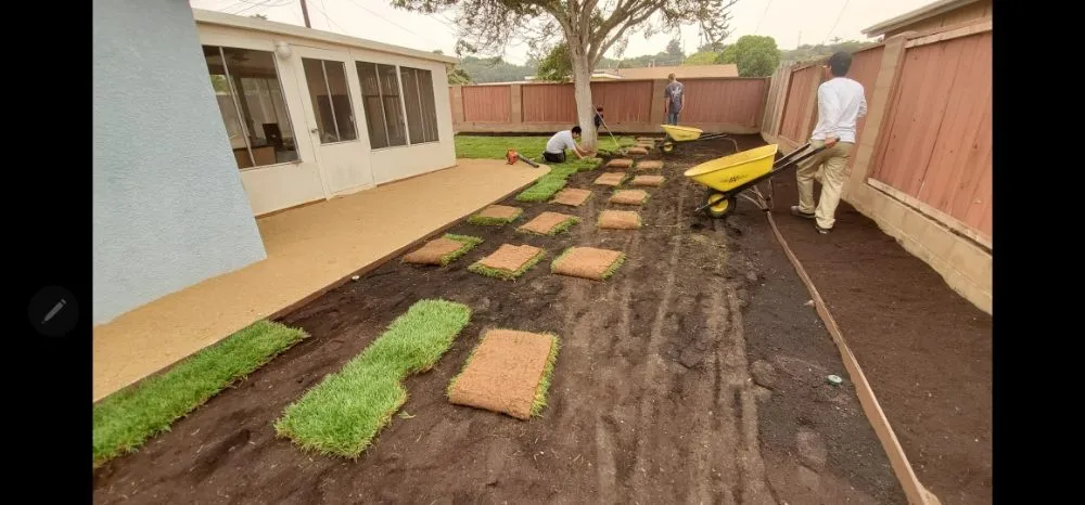 Local garden landscaping in Princeton, TX by Elite Pros