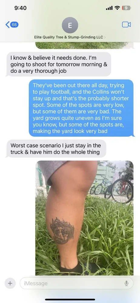 Trusted lawn care service in Sarasota, FL by Elite Quality Tree