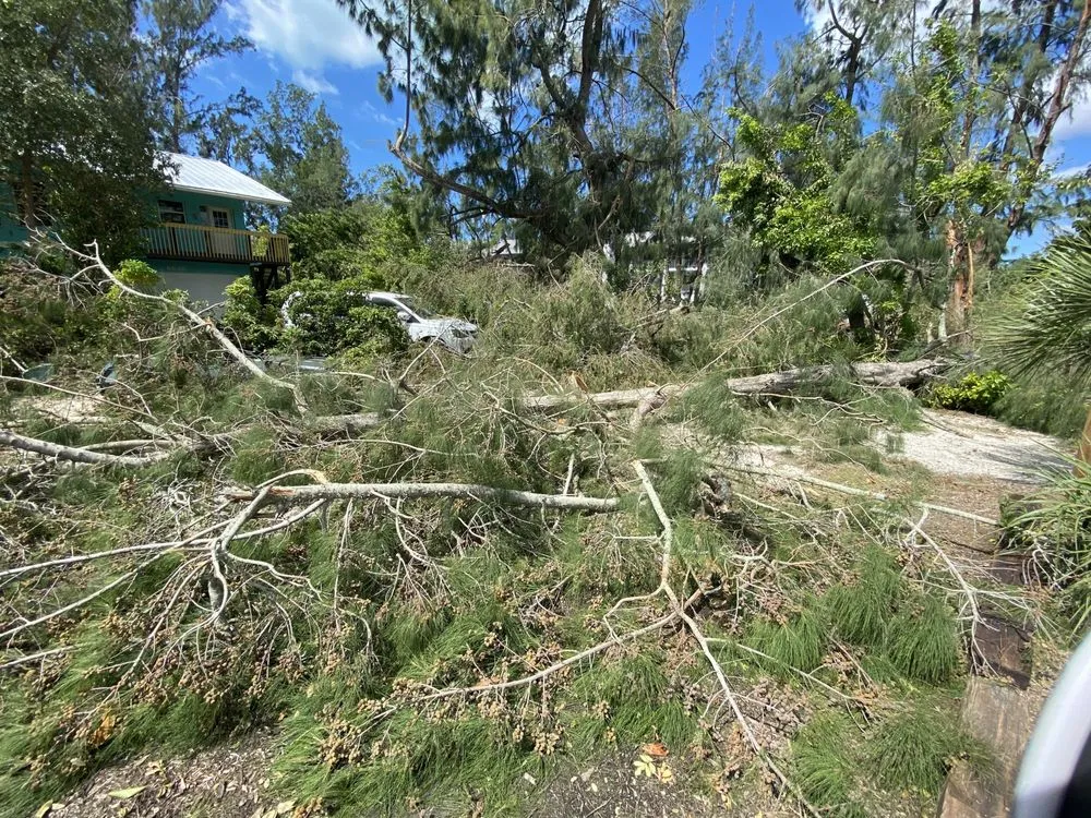 Reliable lawn mowing service in Sarasota, FL by Elite Quality Tree