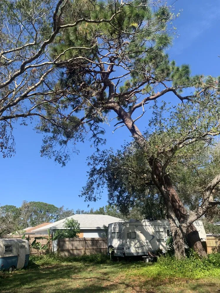 Reliable landscape design with custom design across Sarasota, FL - Elite Quality Tree