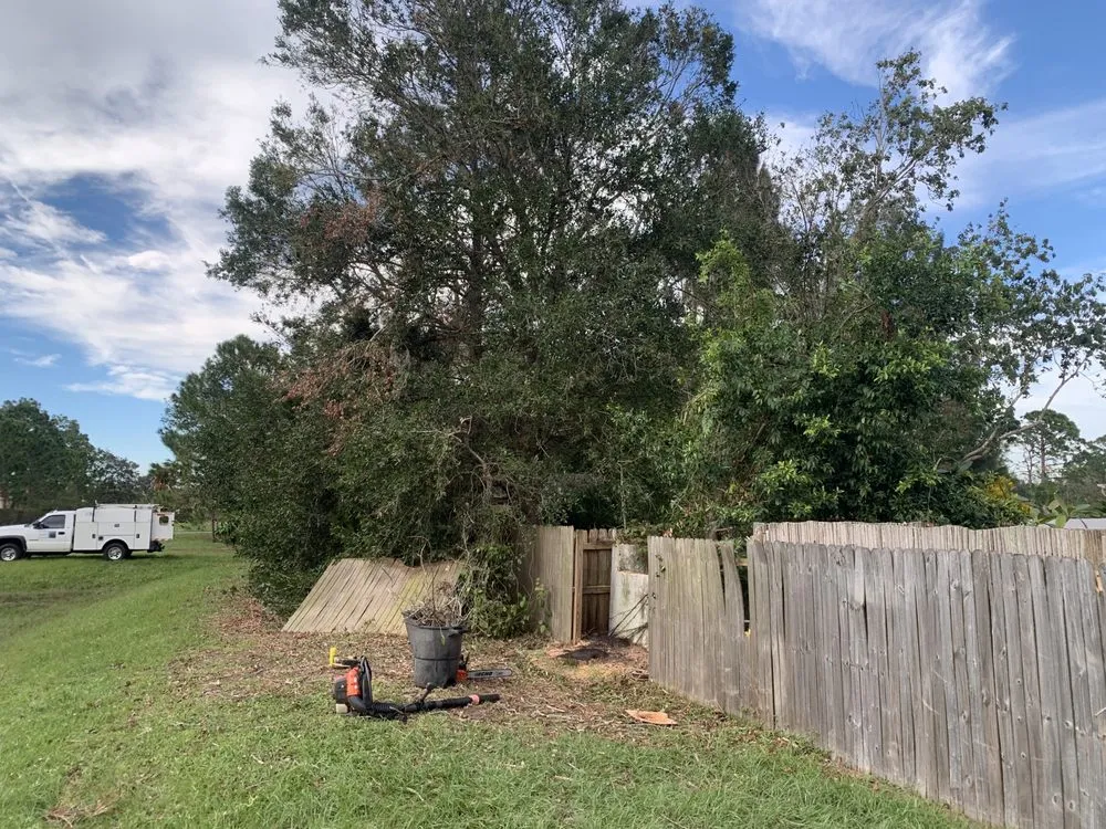 Local garden landscaping for beautiful yards across Sarasota, FL - Elite Quality Tree