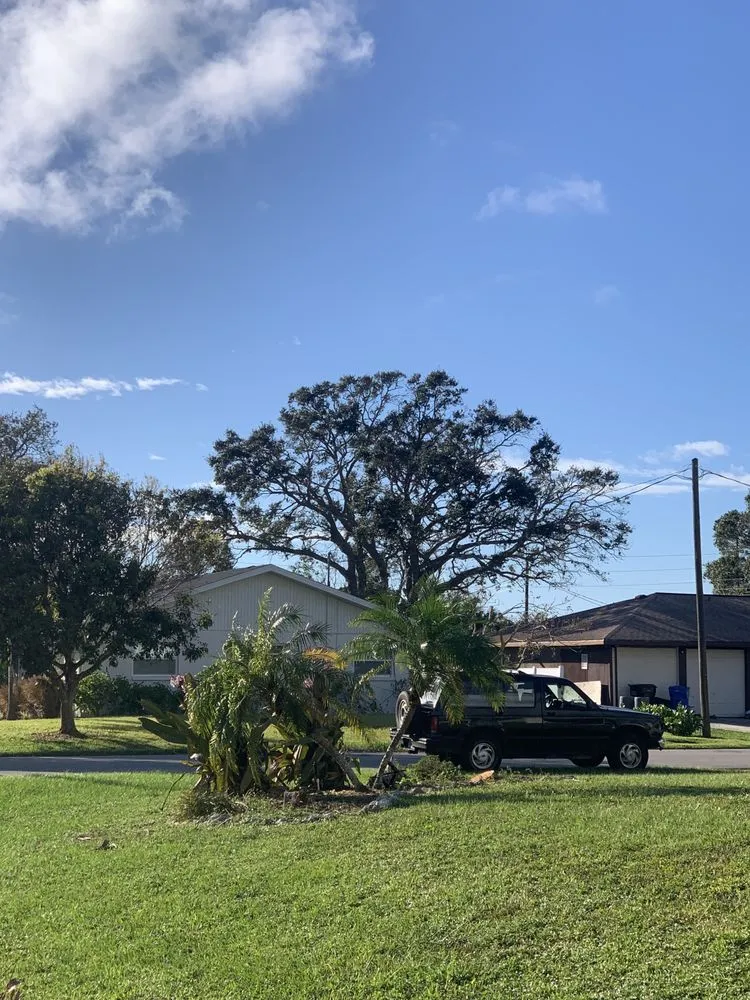 Professional landscape design experts serving Sarasota, FL - Elite Quality Tree