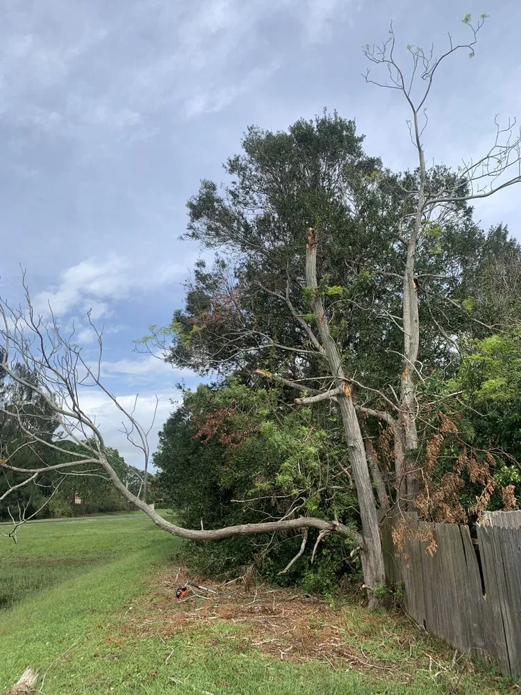 Custom outdoor landscaping for beautiful yards in Sarasota, FL by Elite Quality Tree