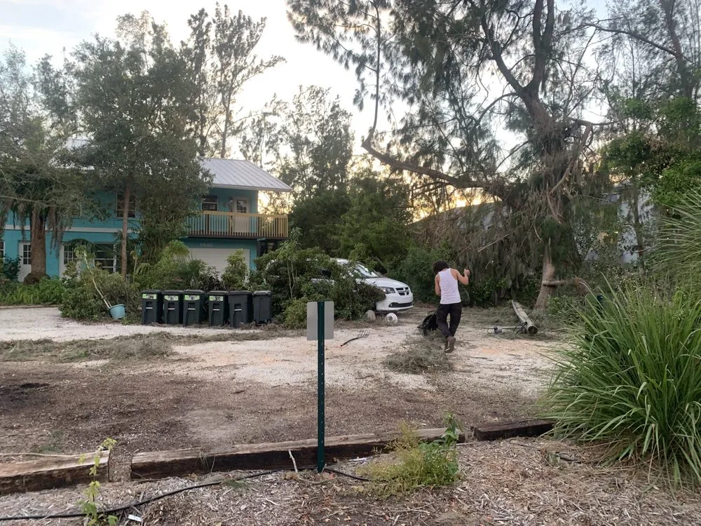 Affordable landscape installation for beautiful yards across Sarasota, FL - Elite Quality Tree