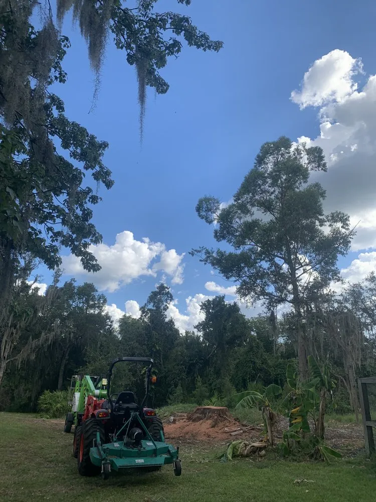 Top-rated outdoor landscaping near you in Sarasota, FL by Elite Quality Tree