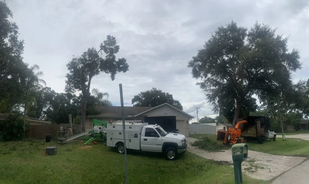 Top-rated yard maintenance for residential properties in Sarasota, FL by Elite Quality Tree