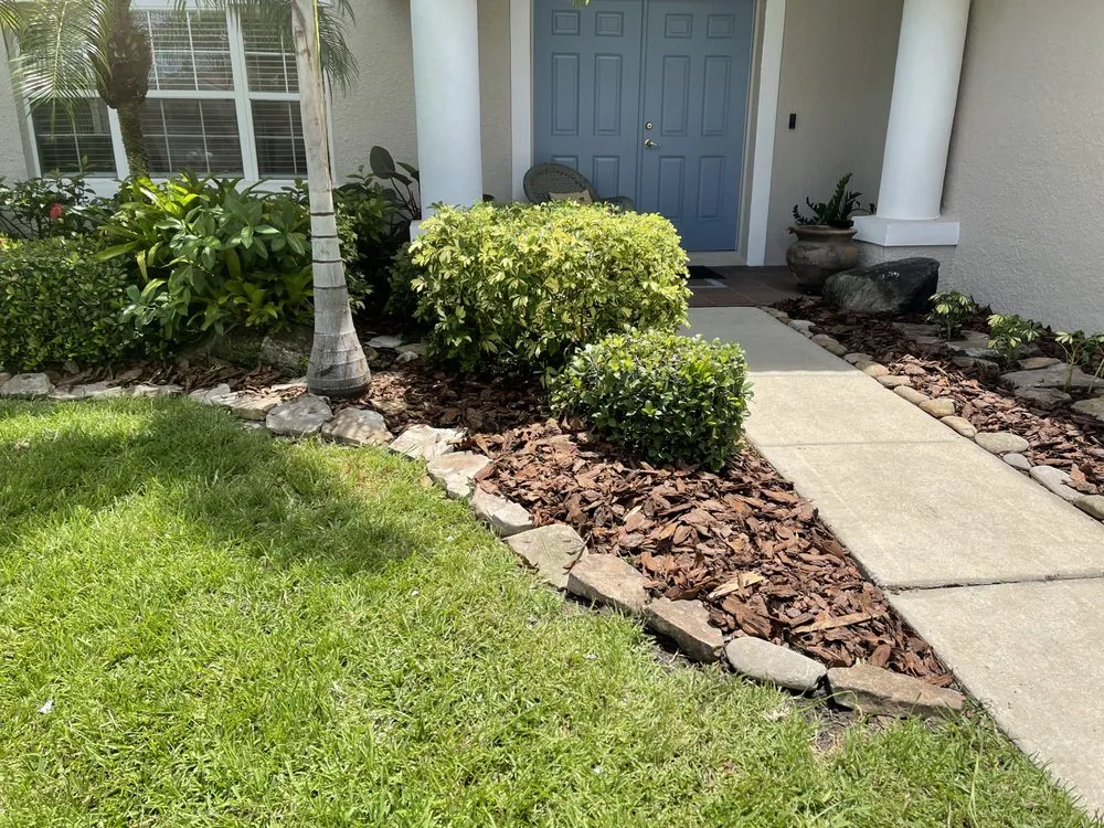 Affordable yard cleanup service in Sarasota, FL by Elite Quality Tree