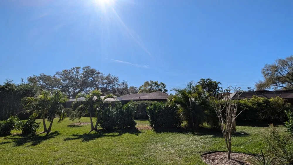 Expert yard cleanup service experts serving Sarasota, FL - Elite Quality Tree