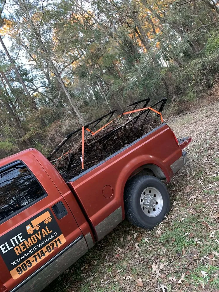 Trusted yard maintenance for outdoor upgrades across Tyler, TX - Elite Removal