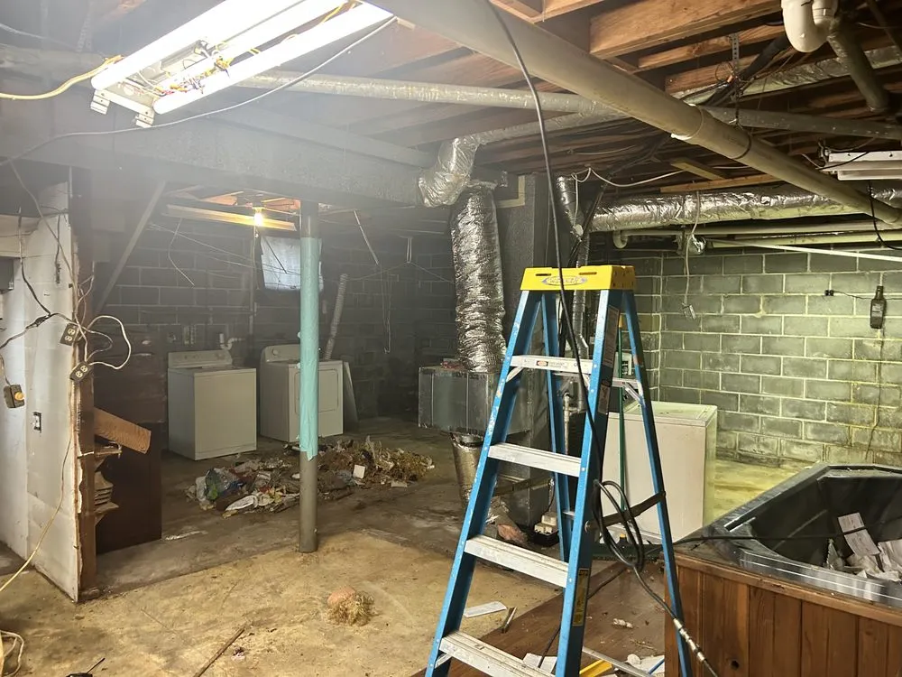 Expert landscape installation in Tuscaloosa, AL - Elite Renovation & Construction