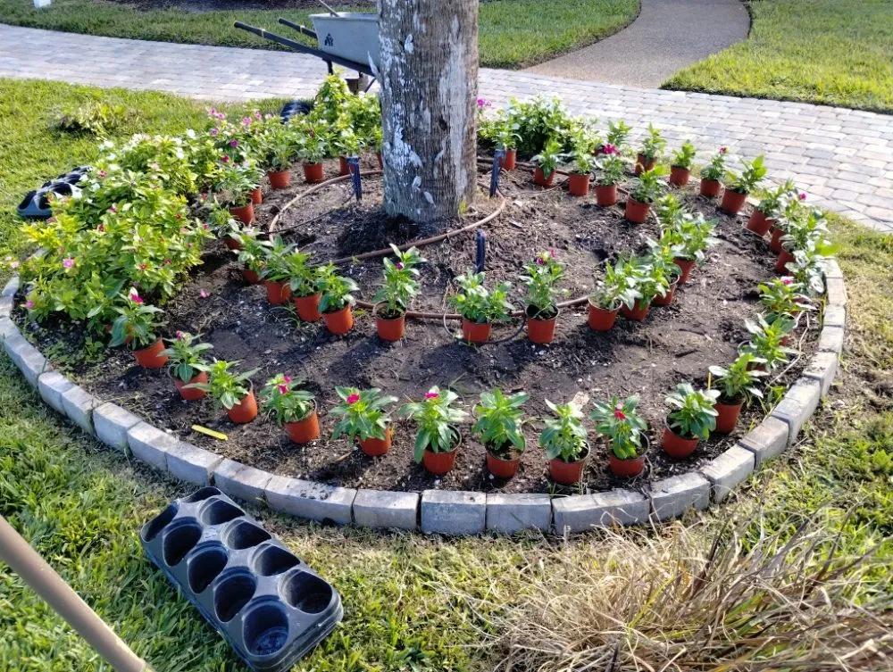 Top-rated yard maintenance for year-round maintenance in Bradenton, FL by Elite Scapes