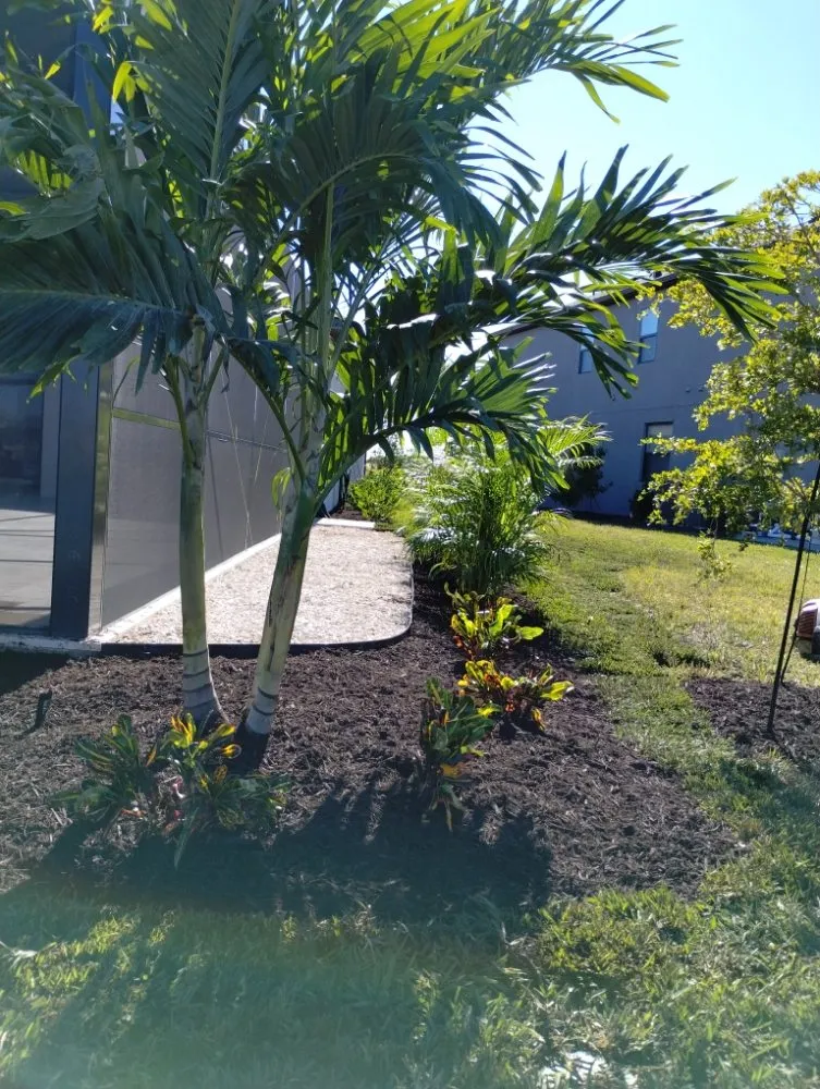 Local landscape design experts serving Bradenton, FL - Elite Scapes