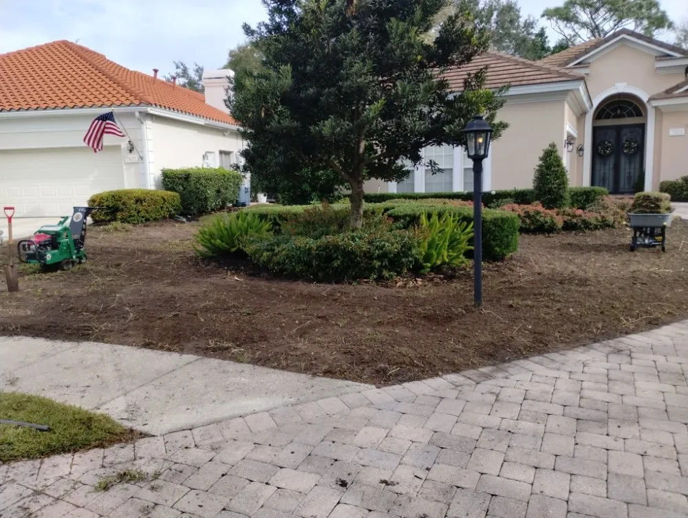 Trusted yard maintenance for year-round maintenance across Bradenton, FL - Elite Scapes