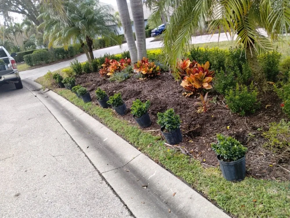 Reliable lawn mowing service in Bradenton, FL by Elite Scapes