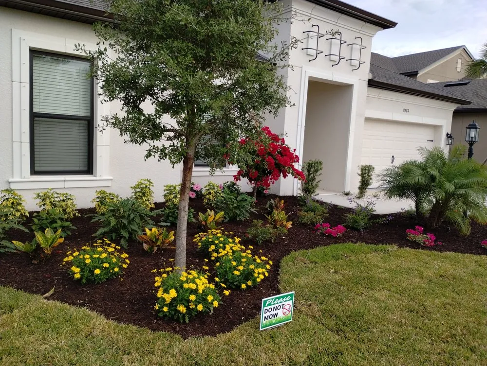 Trusted yard cleanup service near you in Bradenton, FL by Elite Scapes