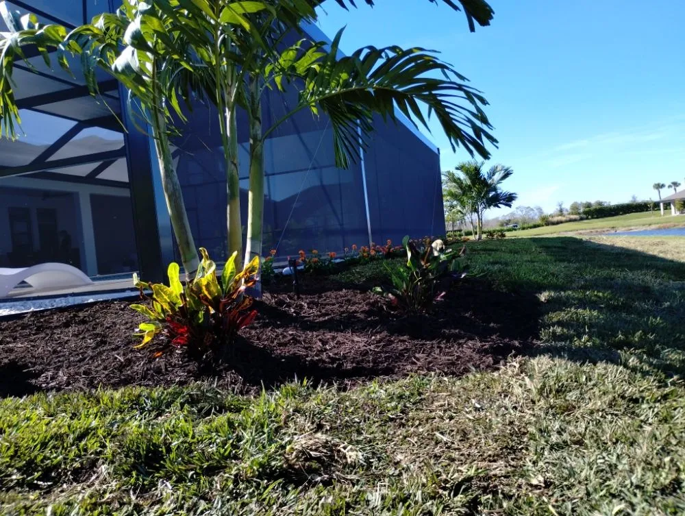 Affordable residential landscaping experts serving Bradenton, FL - Elite Scapes