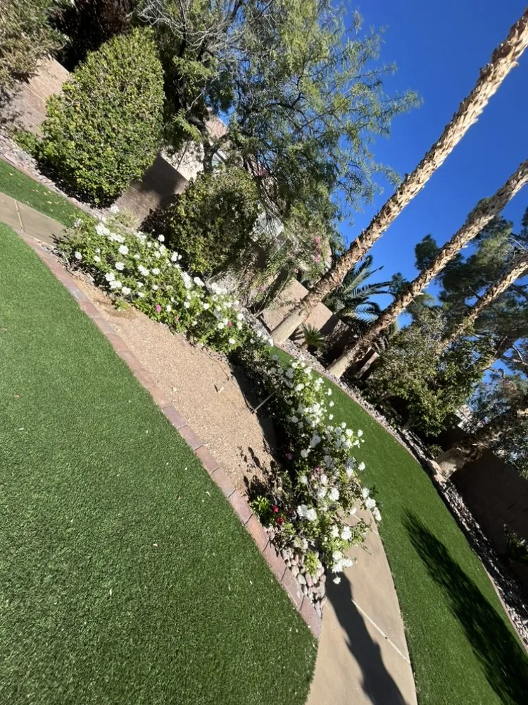 Local lawn care service for year-round maintenance across Las Vegas, NV - Elite Service Landscaping
