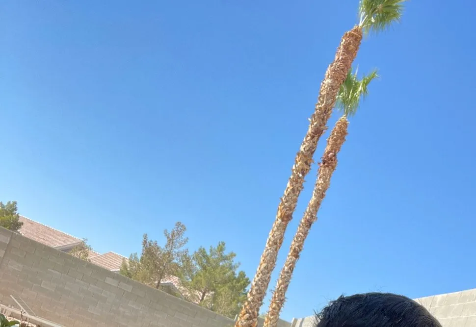 Affordable garden landscaping in Las Vegas, NV - Elite Service Landscaping