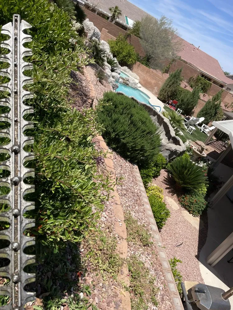 Top-rated lawn care service in Las Vegas, NV by Elite Service Landscaping