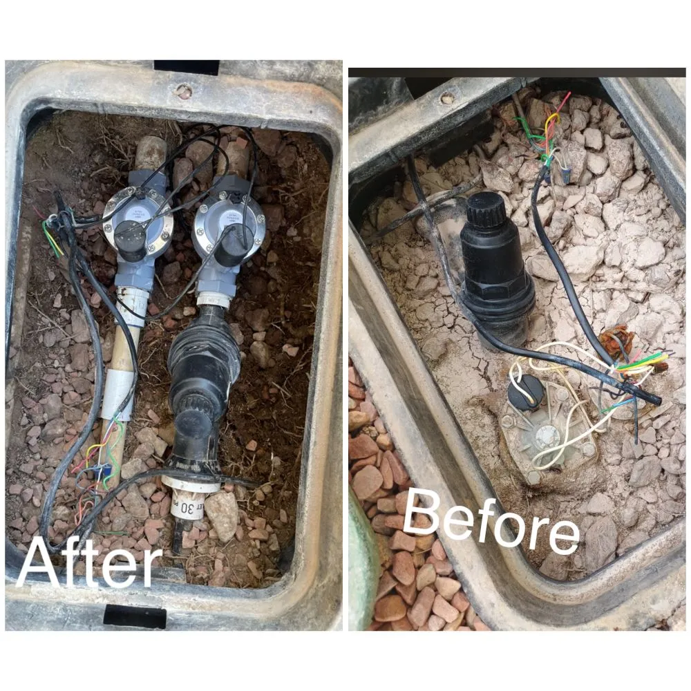 Custom residential landscaping for beautiful yards across Las Vegas, NV - Elite Service Landscaping