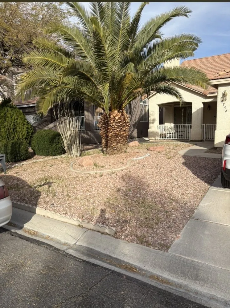 Top-rated yard maintenance experts serving Las Vegas, NV - Elite Service Landscaping