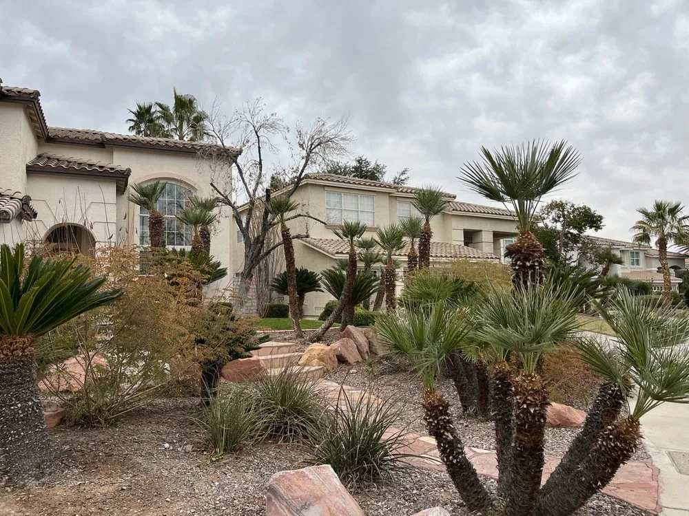 Local yard maintenance in Las Vegas, NV by Elite Service Landscaping