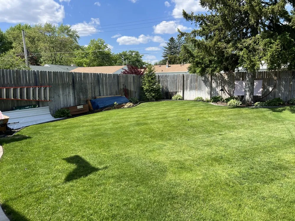 Affordable yard cleanup service experts serving Janesville, WI - ELITE Services