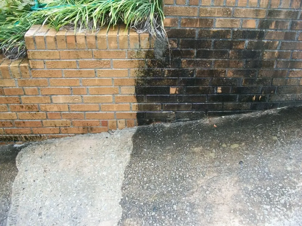 Custom landscape installation in Fairburn, GA - Elite Services of Georgia, LLC