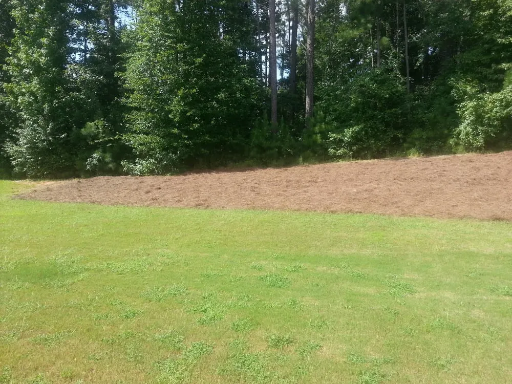 Reliable lawn mowing service with custom design across Fairburn, GA - Elite Services of Georgia, LLC