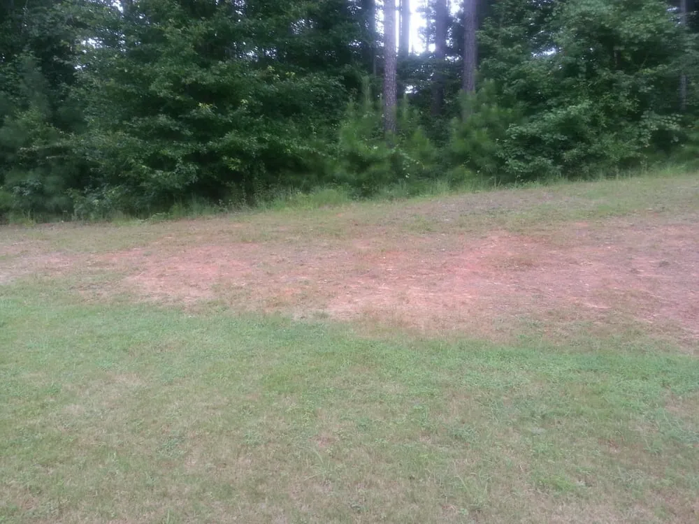 Local landscaping services with custom design across Fairburn, GA - Elite Services of Georgia, LLC