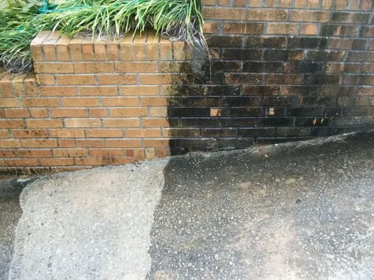 Elite Services of Georgia, LLC Logo