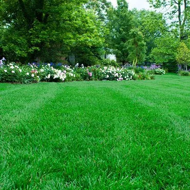 Expert landscape installation for homes in Manchester, TN by Elite Services Of Mid Tn