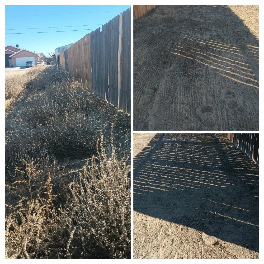 Custom yard cleanup service experts serving Kirtland, NM - Elite Skilled Labors