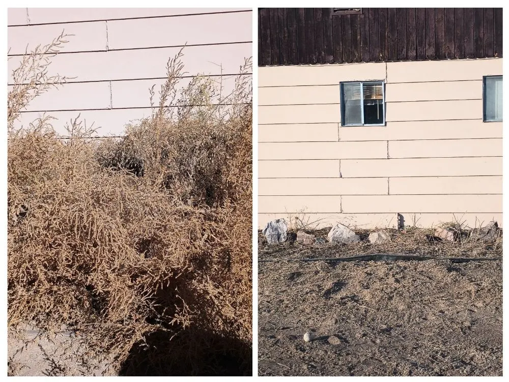 Custom garden landscaping experts serving Kirtland, NM - Elite Skilled Labors