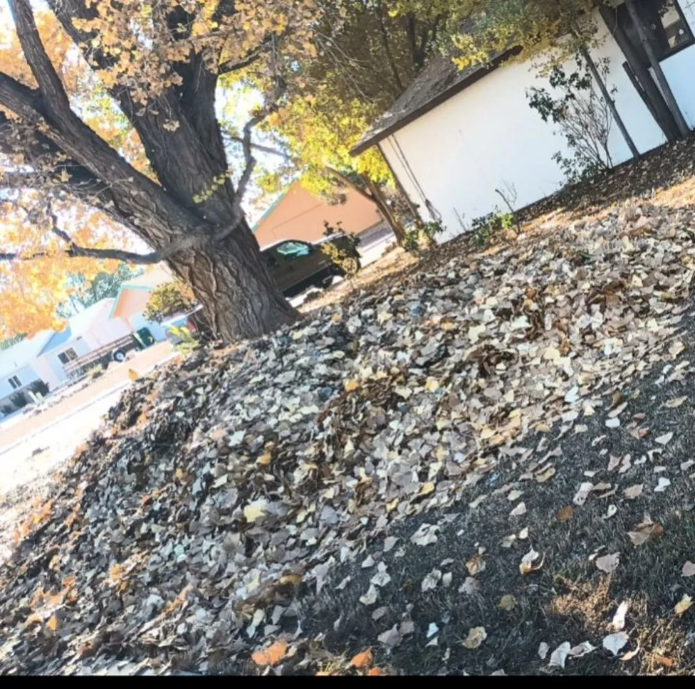 Professional lawn care service experts serving Kirtland, NM - Elite Skilled Labors