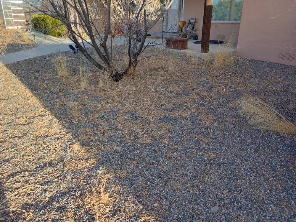 Local landscape design for outdoor upgrades in Kirtland, NM by Elite Skilled Labors