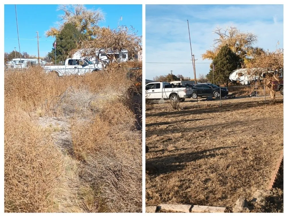 Custom landscaping services in Kirtland, NM by Elite Skilled Labors