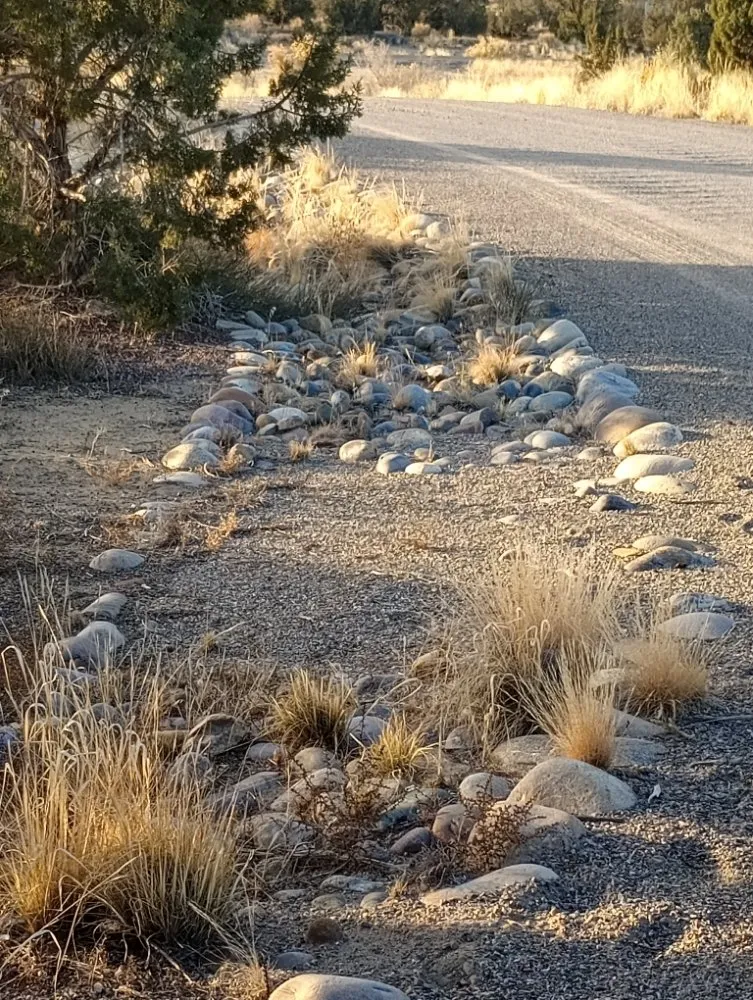 Custom lawn mowing service near you in Kirtland, NM by Elite Skilled Labors